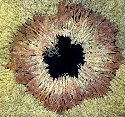 Illustration of a Sunspot by Unbekannter Künstler