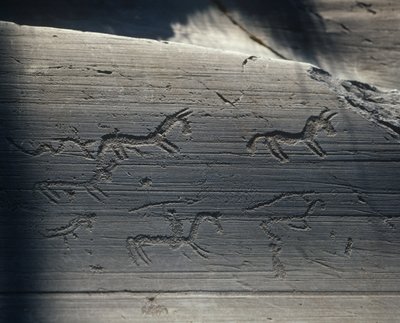 Italy, Lombardy, camonica valley, petroglyphs on rock by Benjamin Baud