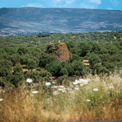 Nuraghe Crabia (Oristano Province, Sardinia) by William M. Timlin