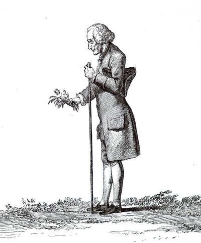 Jean-Jacques Rousseau by Unbekannt