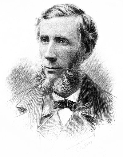 John Tyndall, British physicist by Unbekannt