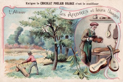 The Service Tree, France, c.1910 by Unbekannter Künstler