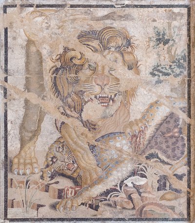 Lion and Leopard by Unbekannter Künstler