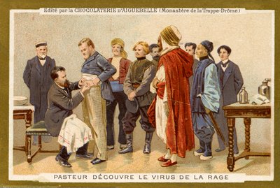 Louis Pasteur discovers the rabies virus by Unbekannter Künstler