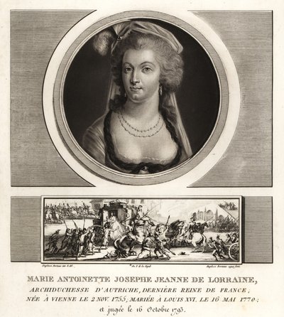 Marie Antoinette, last queen of France by Unbekannt