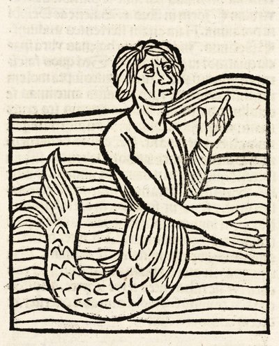 Merman by Unbekannt