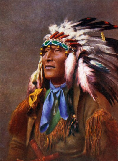 Native American in Traditional Costume by Unbekannter Künstler