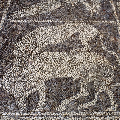Panther attacking a bull by Unbekannt