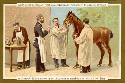 Pierre Paul Émile Roux by Unbekannter Künstler