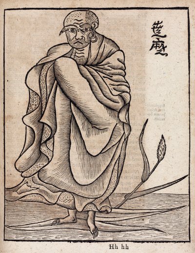 Portrait of Bodhidharma by Unbekannt