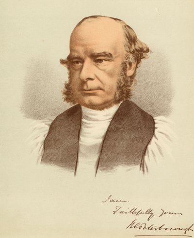 Portrait of William Magee by Unbekannter Künstler