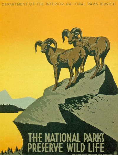 Poster promoting the biodiversity of National Parks by Unbekannter Künstler