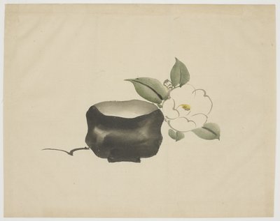 Raku Tea Bowl and White Camellia by Unbekannt