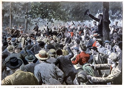 Revolt of the Winegrowers of Narbonne by Unbekannter Künstler