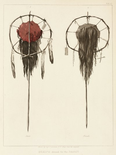 Scalps dressed for the Dance by Unbekannter Künstler