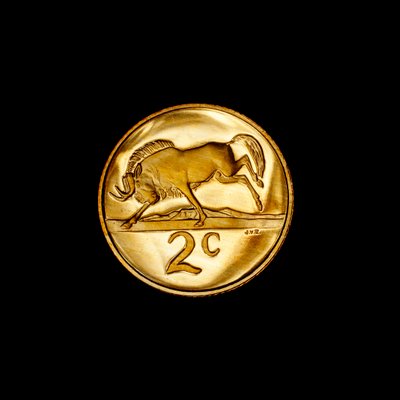 South African 2 Cent Coin by Unbekannter Künstler