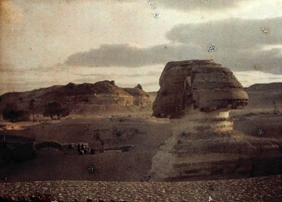 Sphinx by Unbekannter Künstler