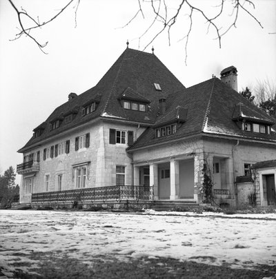 Switzerland Winterthur Villa On Wood by Unbekannt