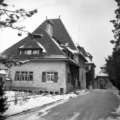 Switzerland Winterthur Villa On Wood by Unbekannt