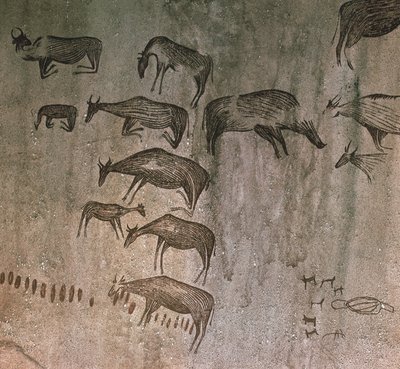 Tanzania, Dodoma Region, Rock Drawings by Nicolas d