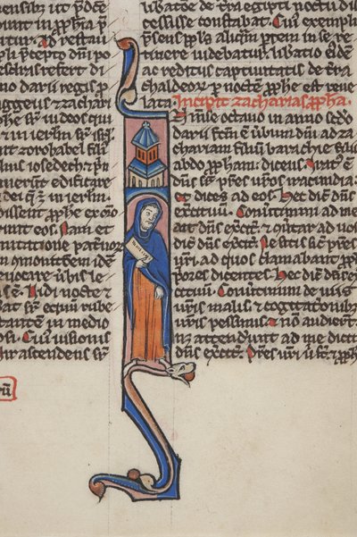 The Book of Zechariah by Unbekannt