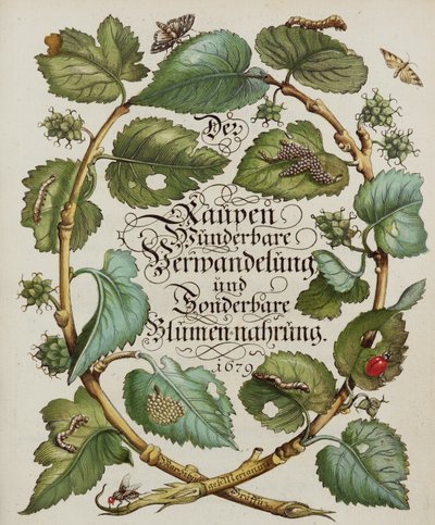 Title Page from Natural History Book by Alec Hunter