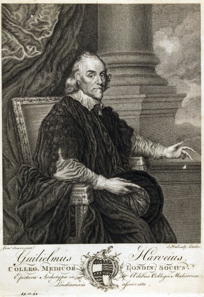 William Harvey, English Physician by Unbekannt