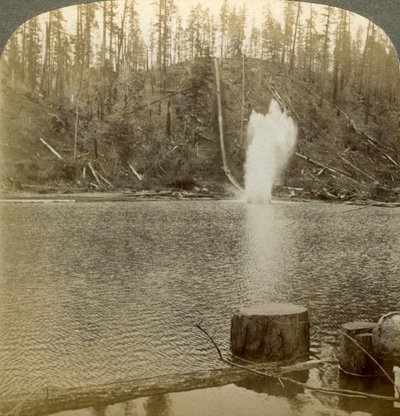 Log Flume, Oregon, USA by Underwood and Underwood