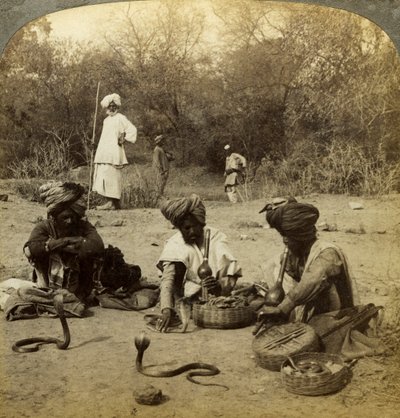 Snake Charmers, Delhi, India by Underwood and Underwood