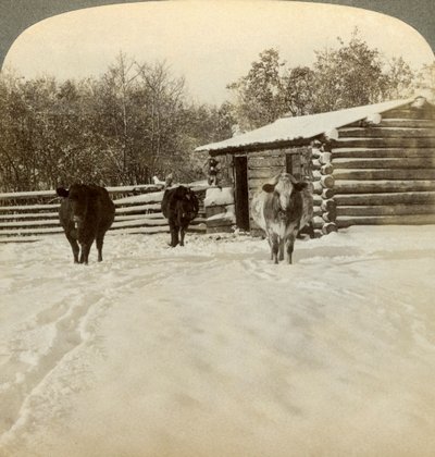 Winter on a ranch, Montana, USA by Underwood and Underwood