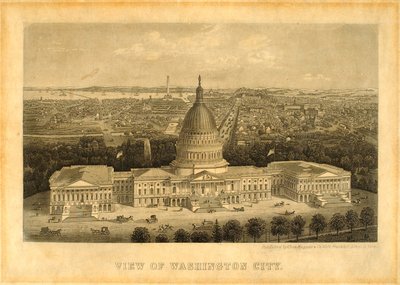 View of Washington City by Unidentified