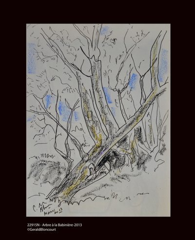 Tree at Babiniere - 2013 by Unknown
