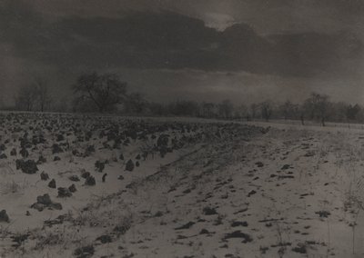 Field of Cabbages Under Snow by Unknown