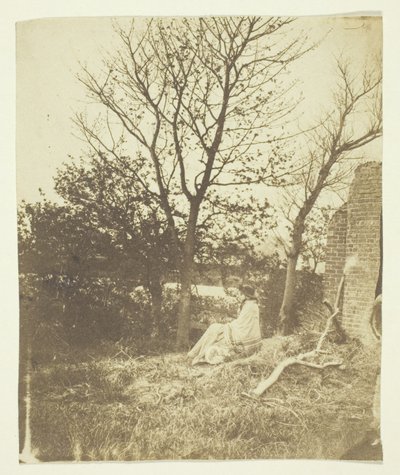 Mrs. Craik Seated Outdoors by Unknown