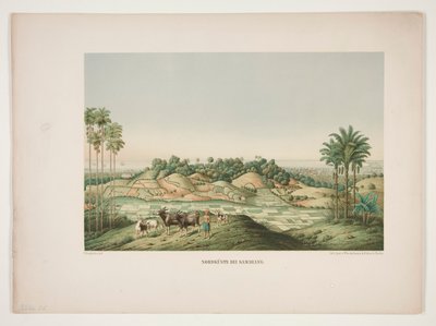North coast of Samarang by Unknown
