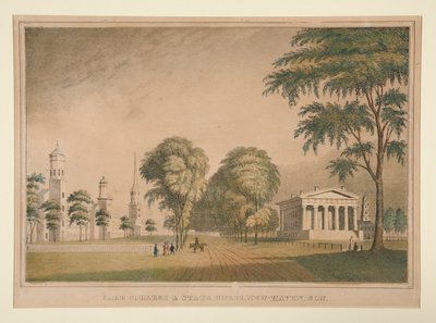 Yale College and State House, New Haven, Connecticut by Unknown