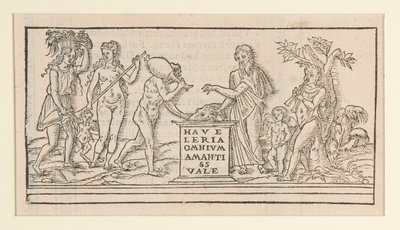 Page from Copy after Francesco Colonna by Unknown