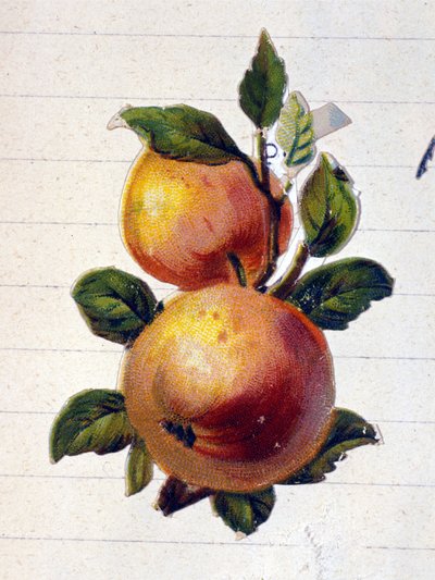 A peach by Unknown artist