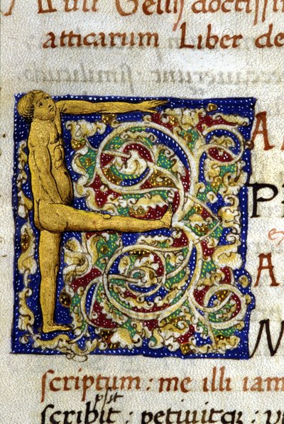 Alphabet: miniaturized letter F by Unknown artist