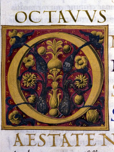 Alphabet: miniaturized letter O by Unknown artist