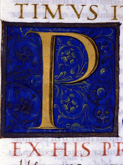Alphabet: miniaturized letter P by Unknown artist
