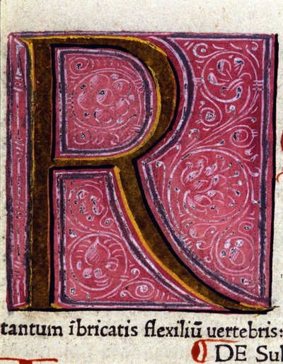 Alphabet: miniaturized letter R by Unknown artist