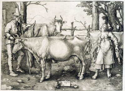 Cowl and dairy in Holland by Unknown artist
