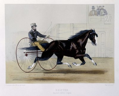 Dexter trotter - in The Centaur by Unknown artist