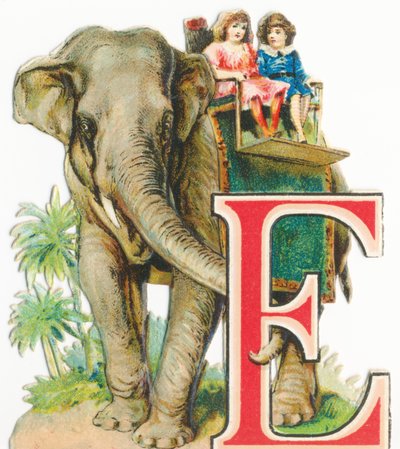 E: Elephant by Unknown artist