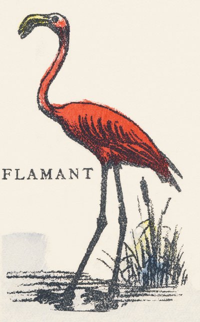 F: flamingo by Unknown artist