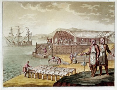 Fishing and Drying Cod in Newfoundland by Unknown artist