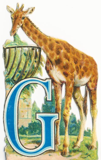 G: Giraffe by Unknown artist
