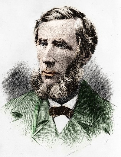 John Tyndall (1820-1893), Irish physicist by Unknown artist