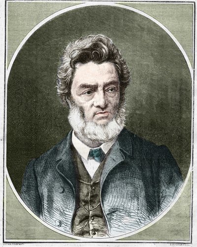 Portrait of Jules Favre (1809-1880), French politician and lawyer by Unknown artist